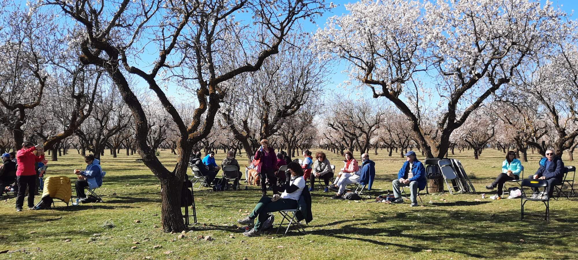 Caminata en la flor del almendro de Ayerbe