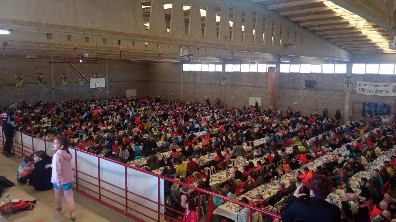 Caminata en la flor del almendro de Ayerbe