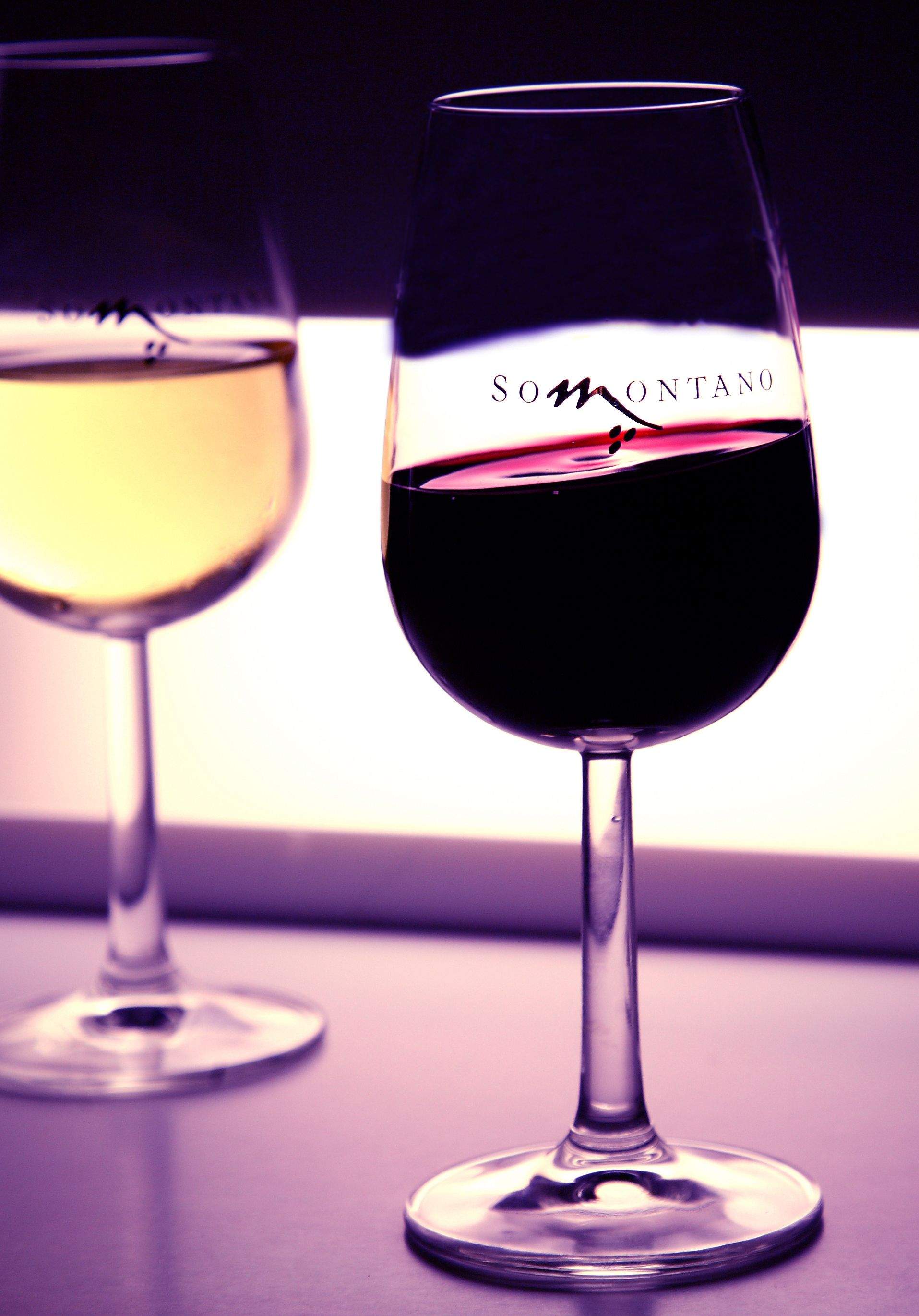 La AESB y la DO Somontano estimulan la participación en la Muestra Gastronómica.