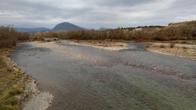 02 COTO CANAL DE BERDÚN aguas arriba de Puente La Reina.