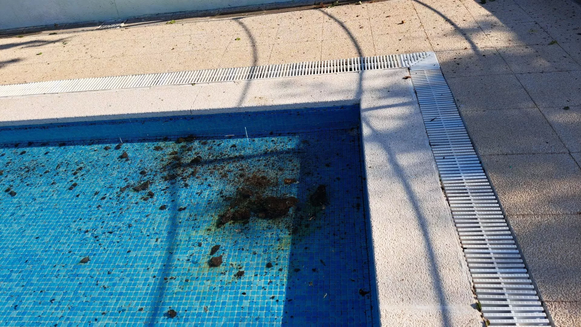 Sabotaje a las piscinas de Almudévar: arrojan estiércol en los tres vasos y obligan a cerrarlas.