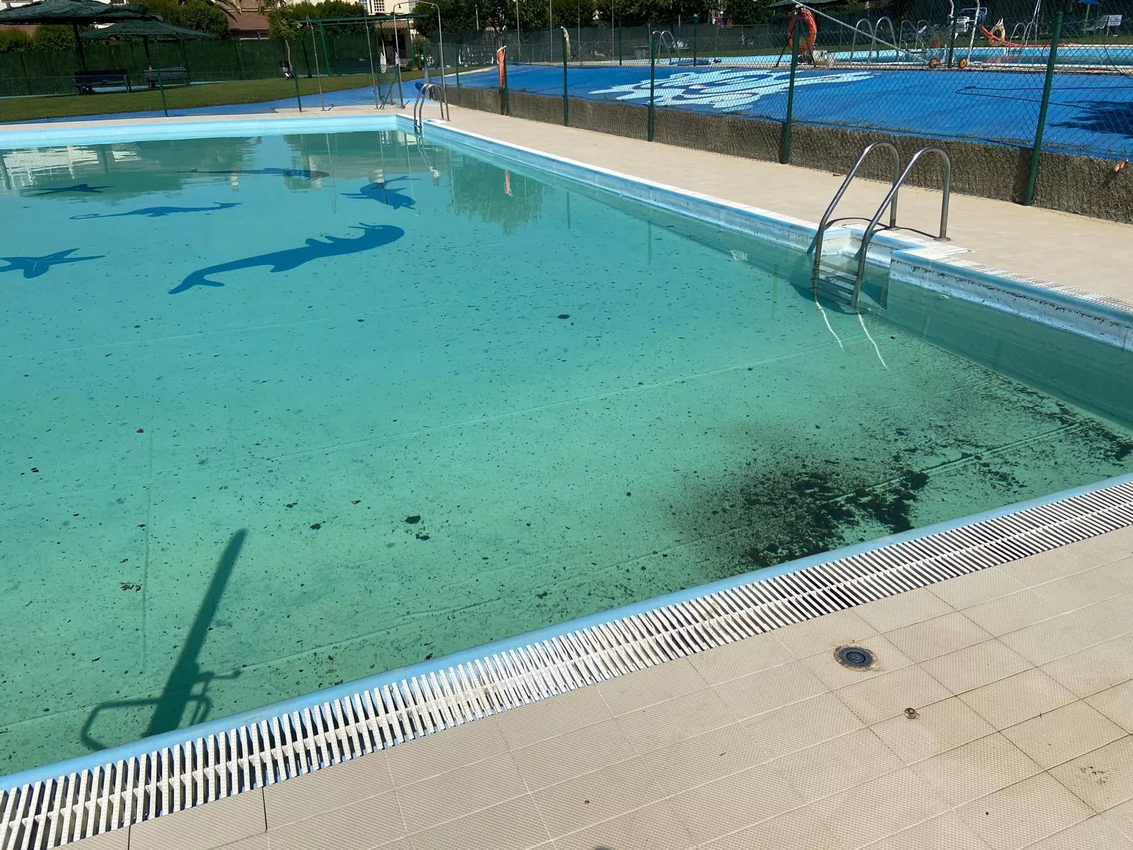 Las piscinas de Almudévar han sufrido un sabotaje con estiércol.