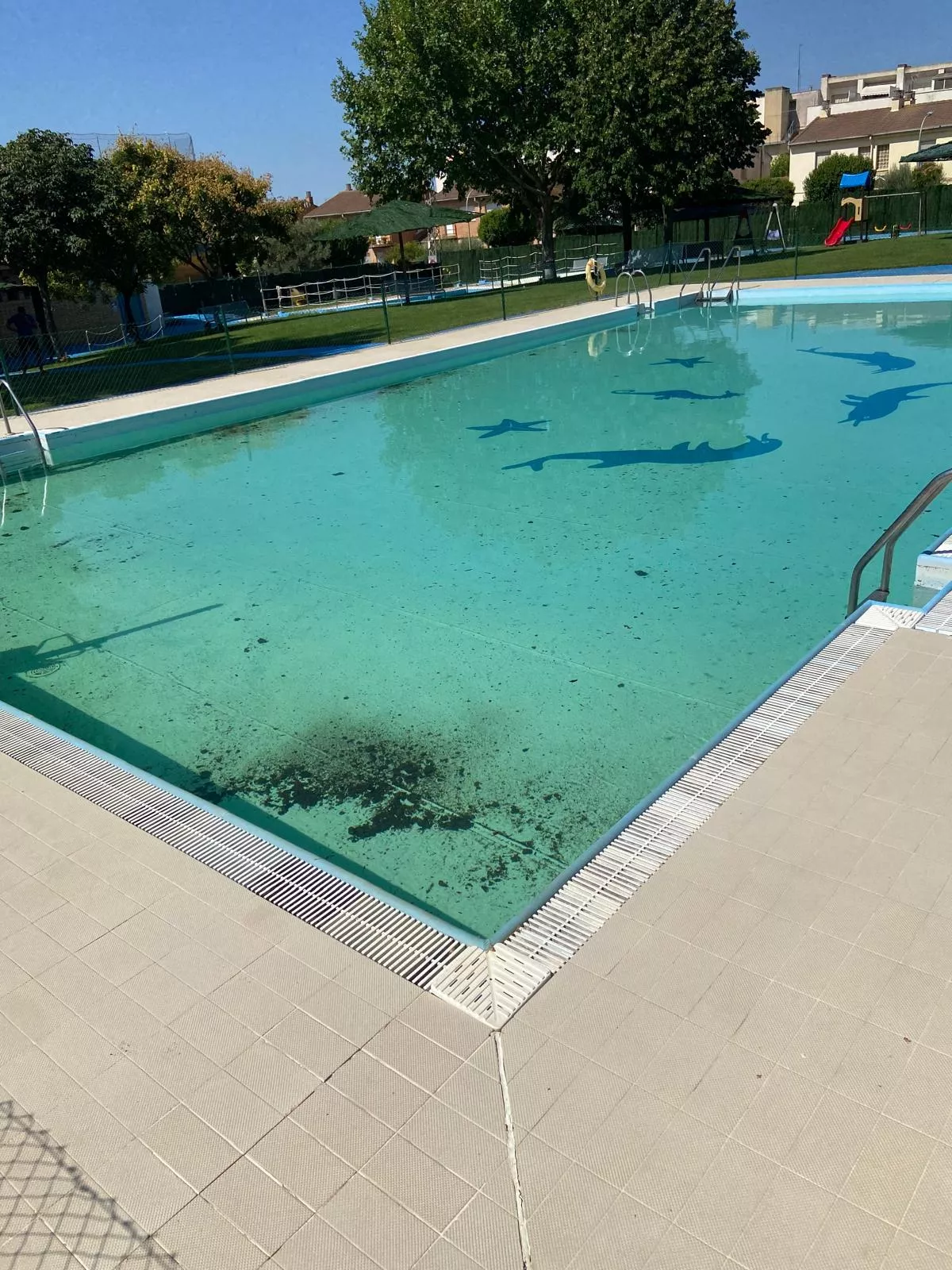 Las piscinas de Almudévar han sufrido un sabotaje con estiércol.