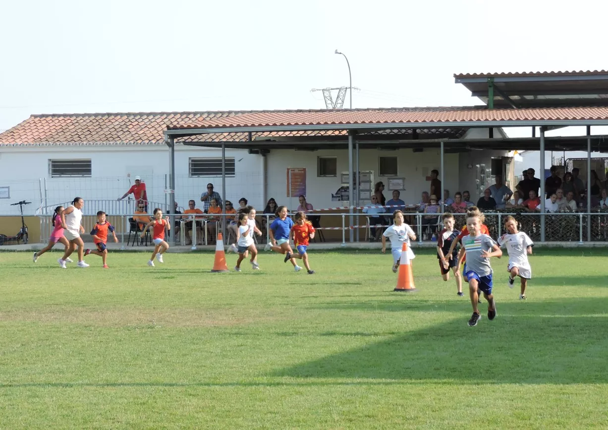 4 Carrera de 1º, 2º y 3º de Primaria