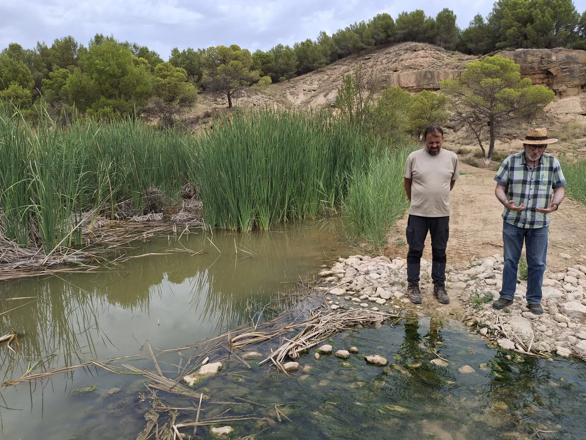 Una ruta para descubrir el oasis de Los Monegros.