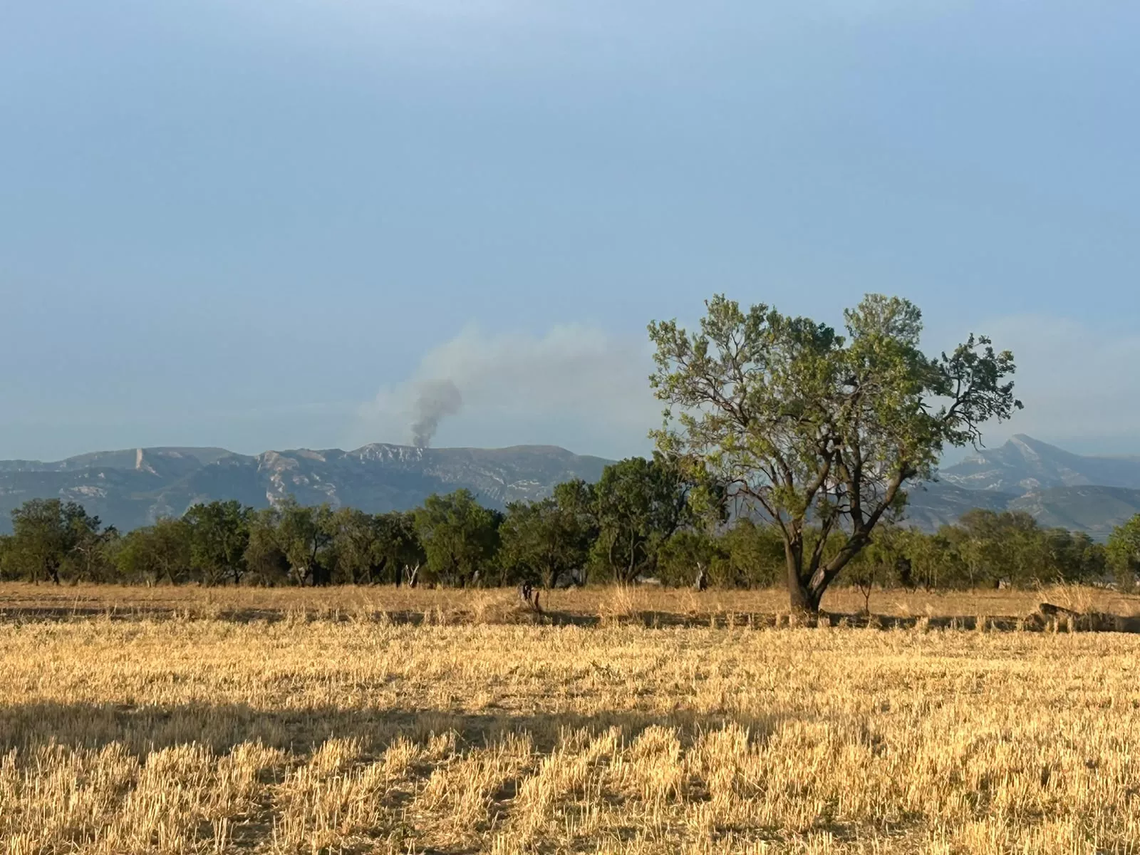 Incendio en Loporzano por un rayo. Foto Carlos Blasco