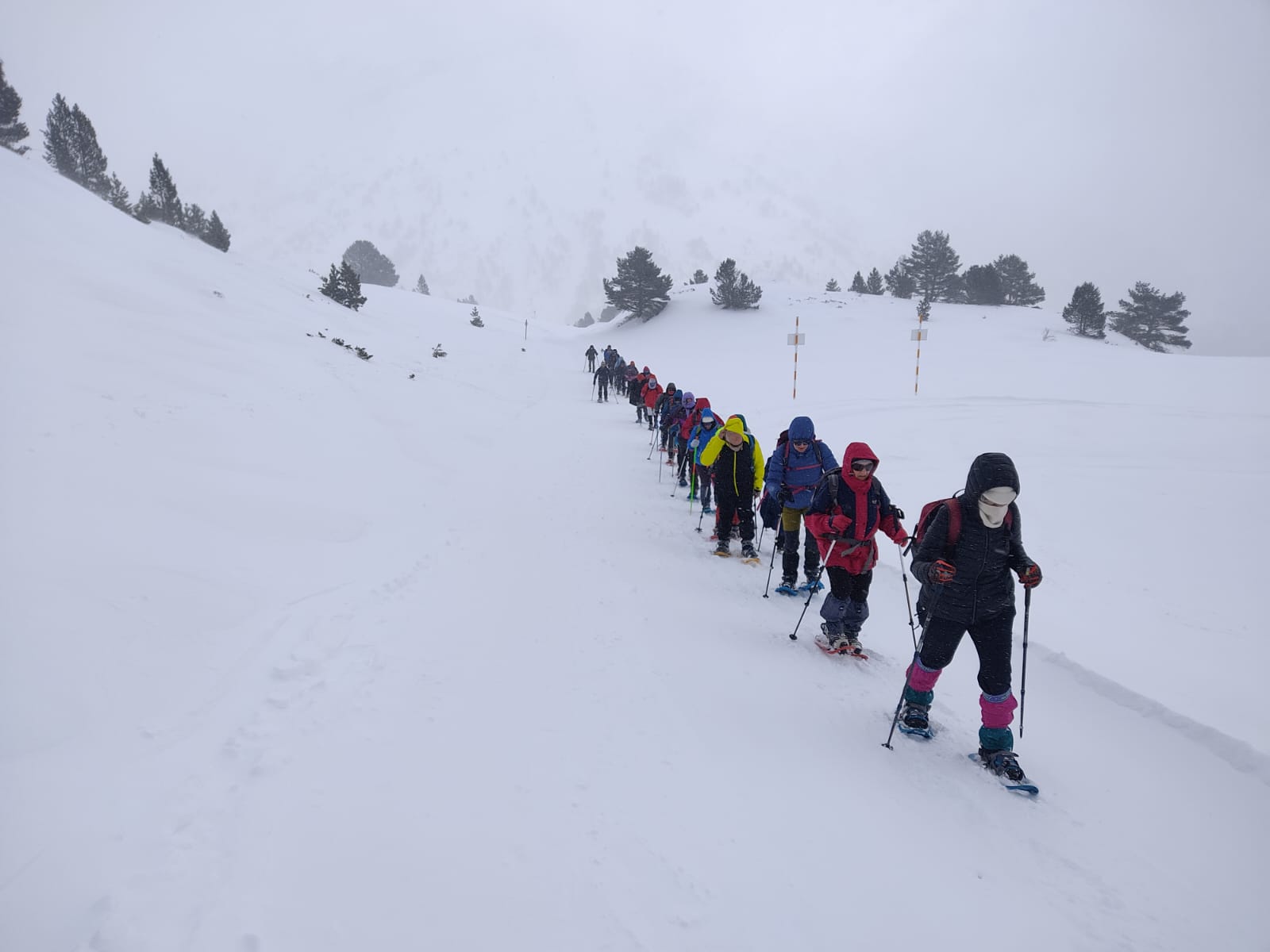 Travesía con raquetas por el Somport. Foto Alfredo Zazo