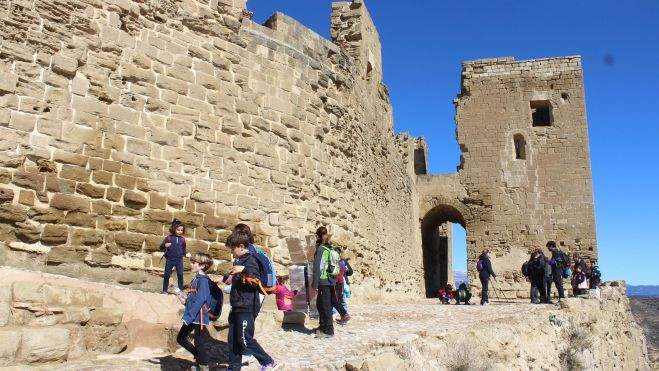 Pequeguara Montearagón febrero 2023(2) Pequeguara Montearagón febrero 2023(2)
