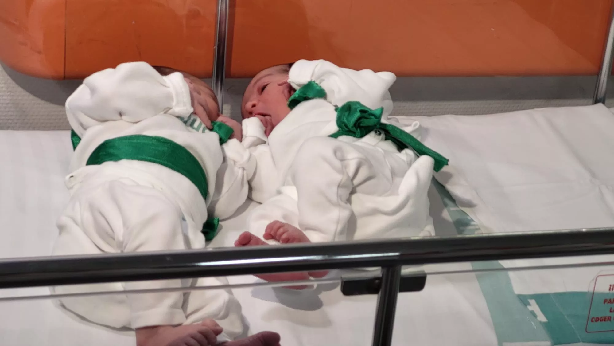  Mateo y Jesús, la Peña del Chupetín de San Lorenzo 2026