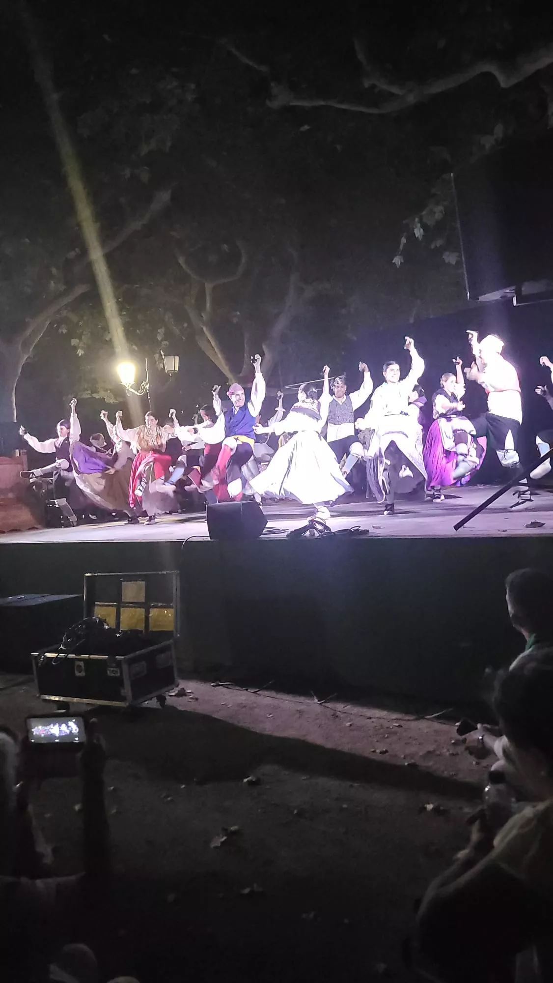 Actuación de la Agrupación Folklórica Santa Cecilia en el Parque Miguel Servet de Huesca