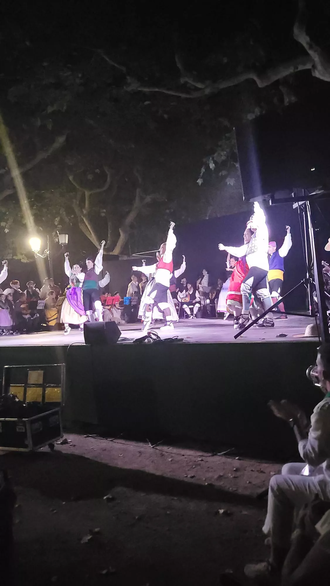 Actuación de la Agrupación Folklórica Santa Cecilia en el Parque Miguel Servet de Huesca
