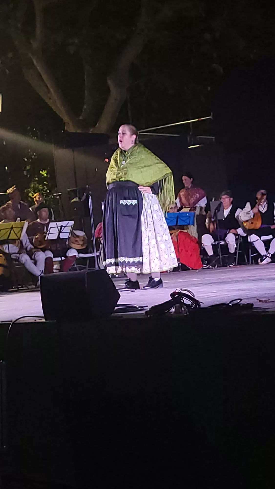 Actuación de la Agrupación Folklórica Santa Cecilia en el Parque Miguel Servet de Huesca