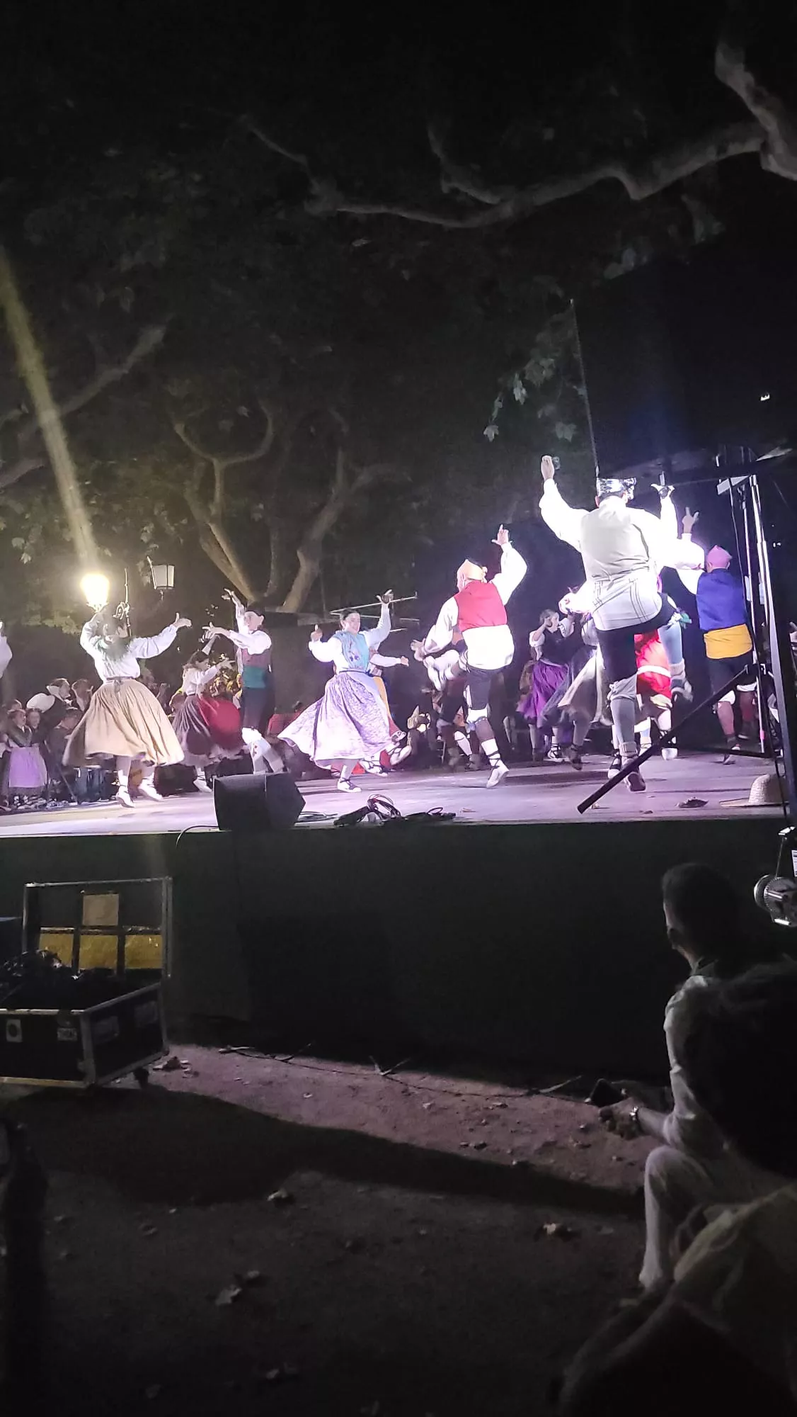 Actuación de la Agrupación Folklórica Santa Cecilia en el Parque Miguel Servet de Huesca