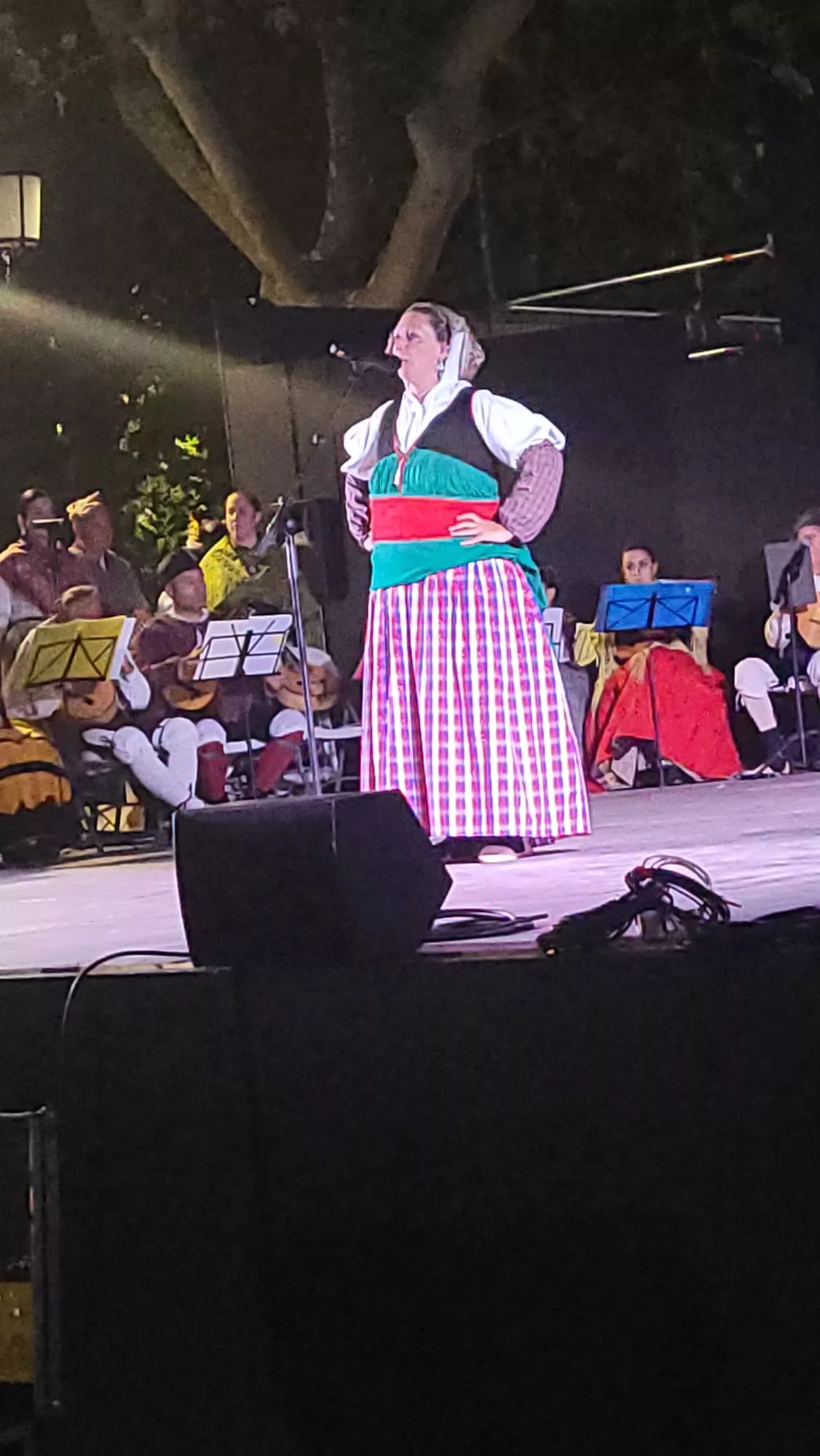 Actuación de la Agrupación Folklórica Santa Cecilia en el Parque Miguel Servet de Huesca