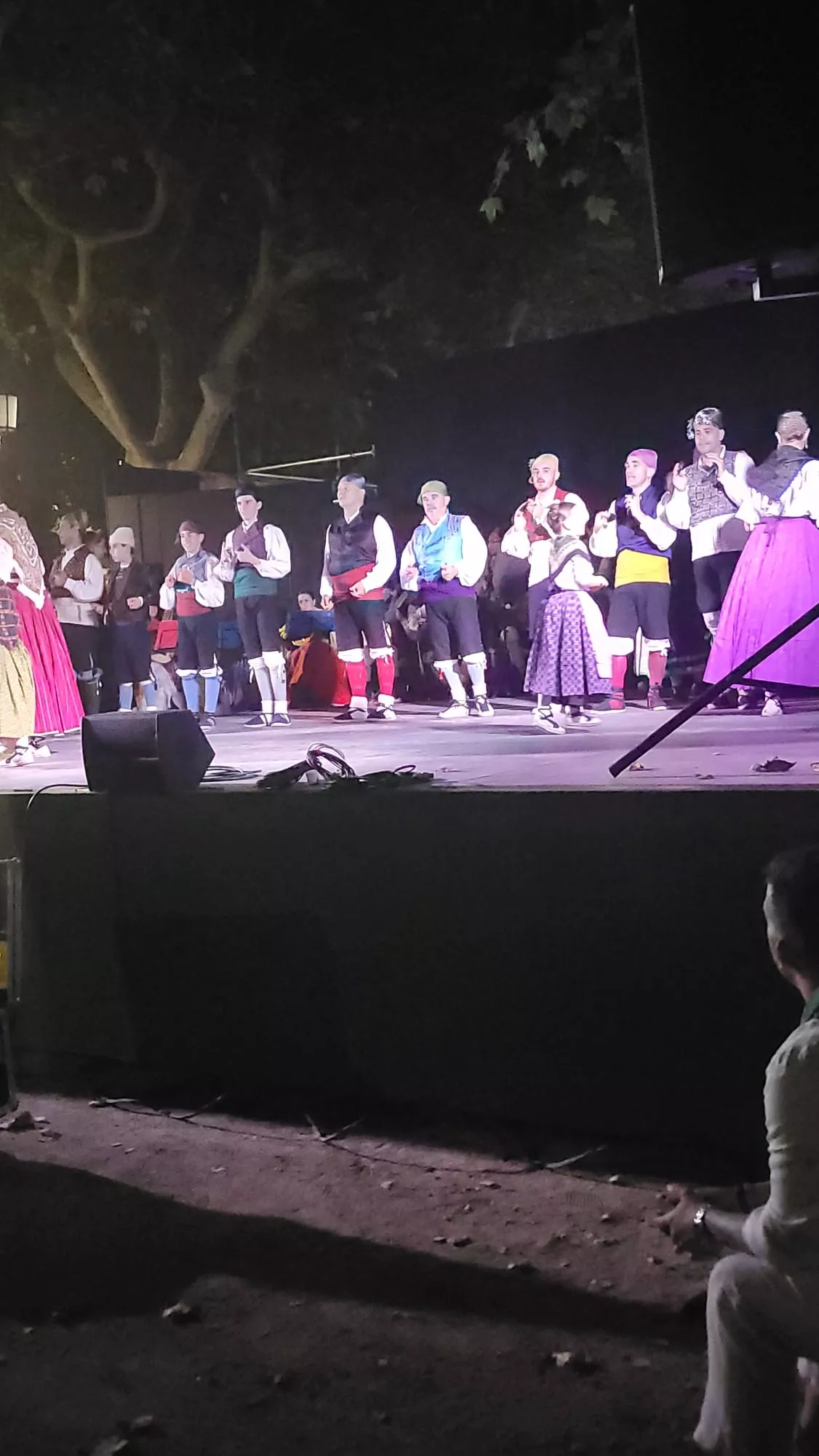 Actuación de la Agrupación Folklórica Santa Cecilia en el Parque Miguel Servet de Huesca
