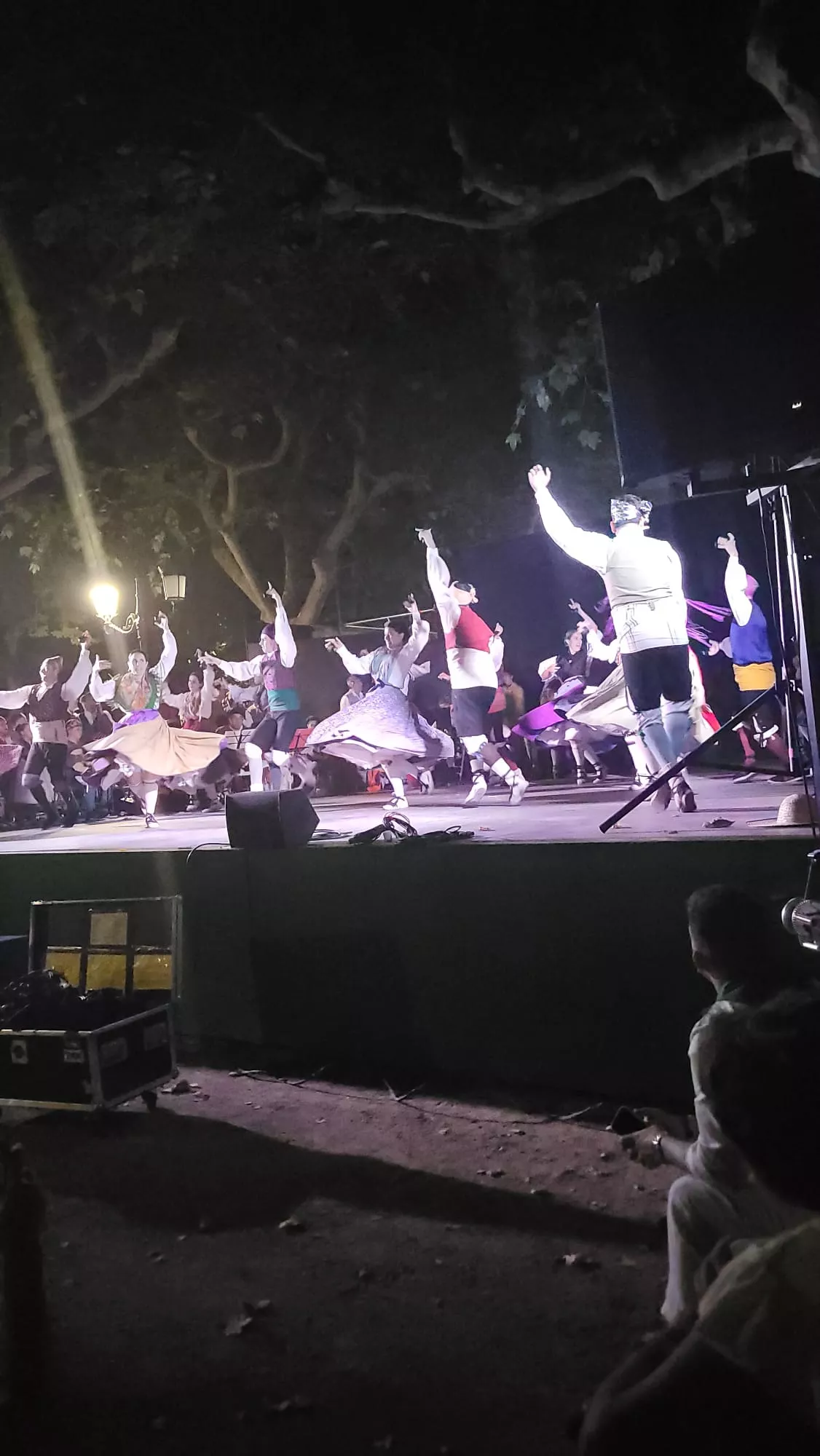 Actuación de la Agrupación Folklórica Santa Cecilia en el Parque Miguel Servet de Huesca