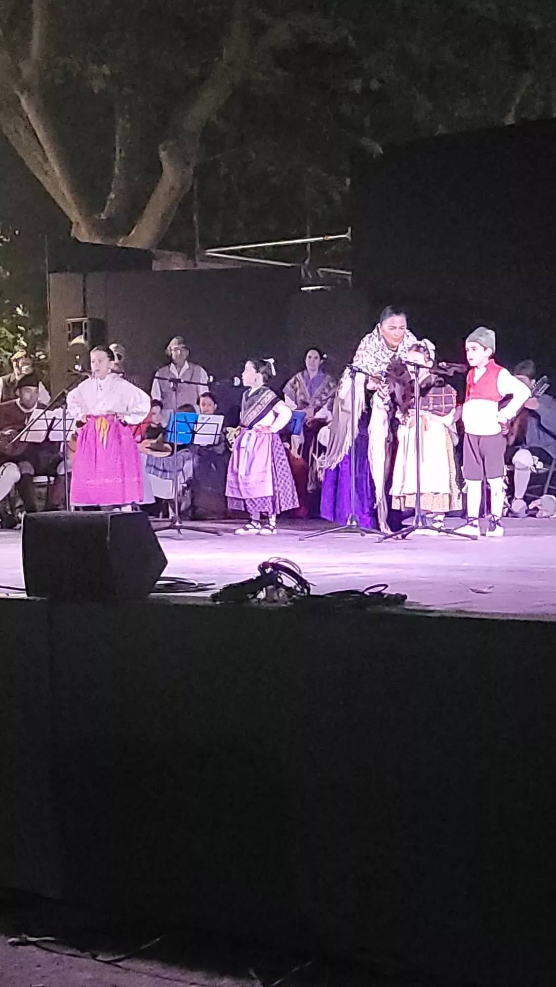 Actuación de la Agrupación Folklórica Santa Cecilia en el Parque Miguel Servet de Huesca