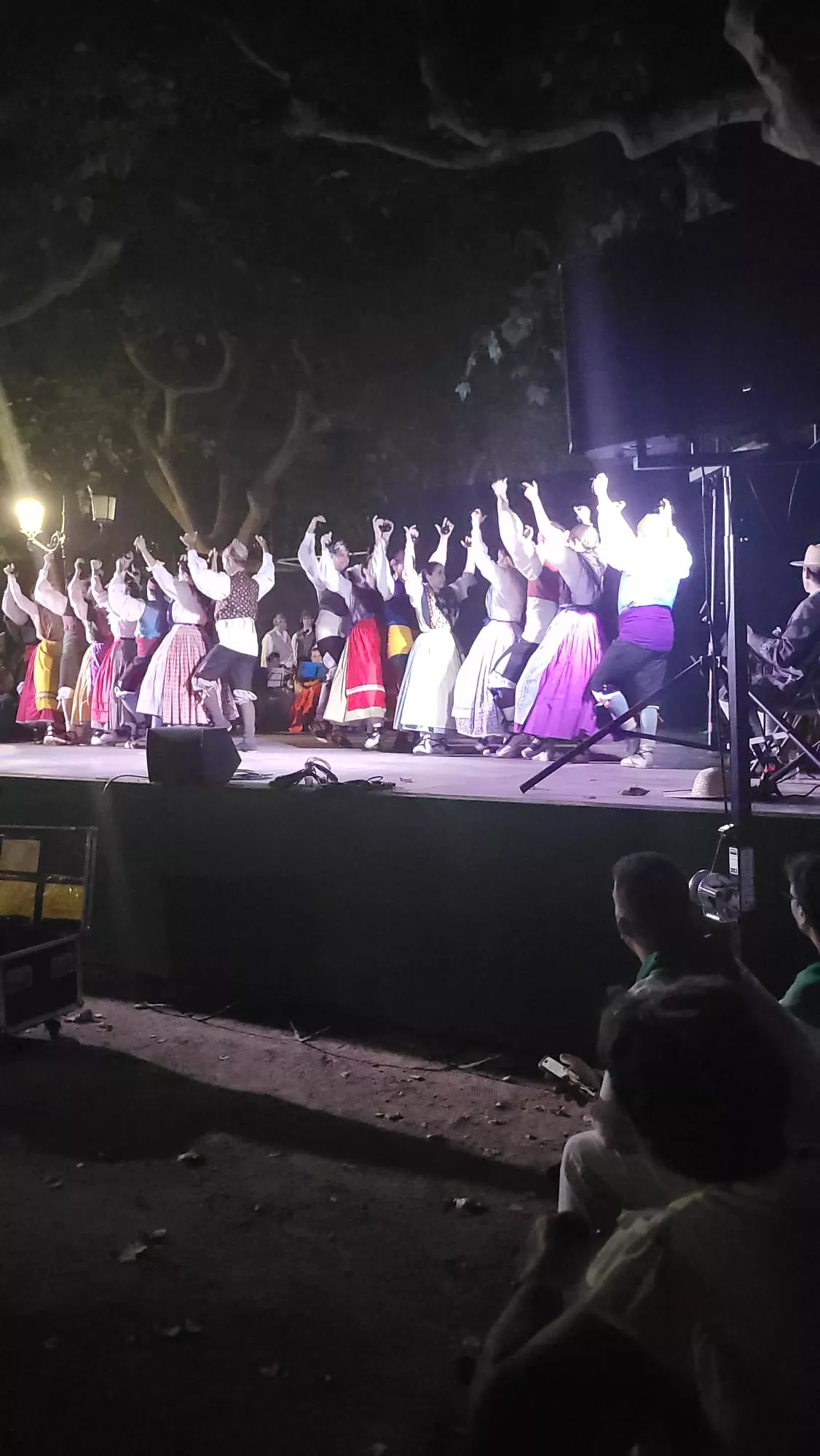 Actuación de la Agrupación Folklórica Santa Cecilia en el Parque Miguel Servet de Huesca