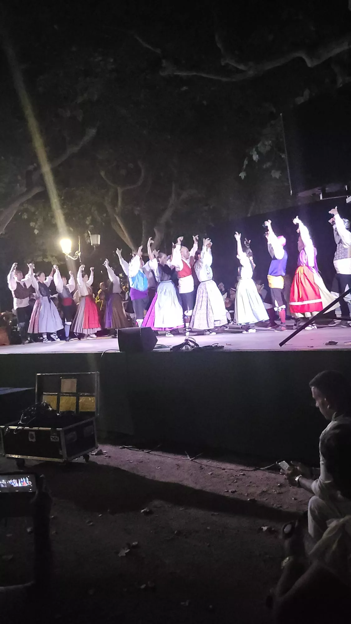 Actuación de la Agrupación Folklórica Santa Cecilia en el Parque Miguel Servet de Huesca