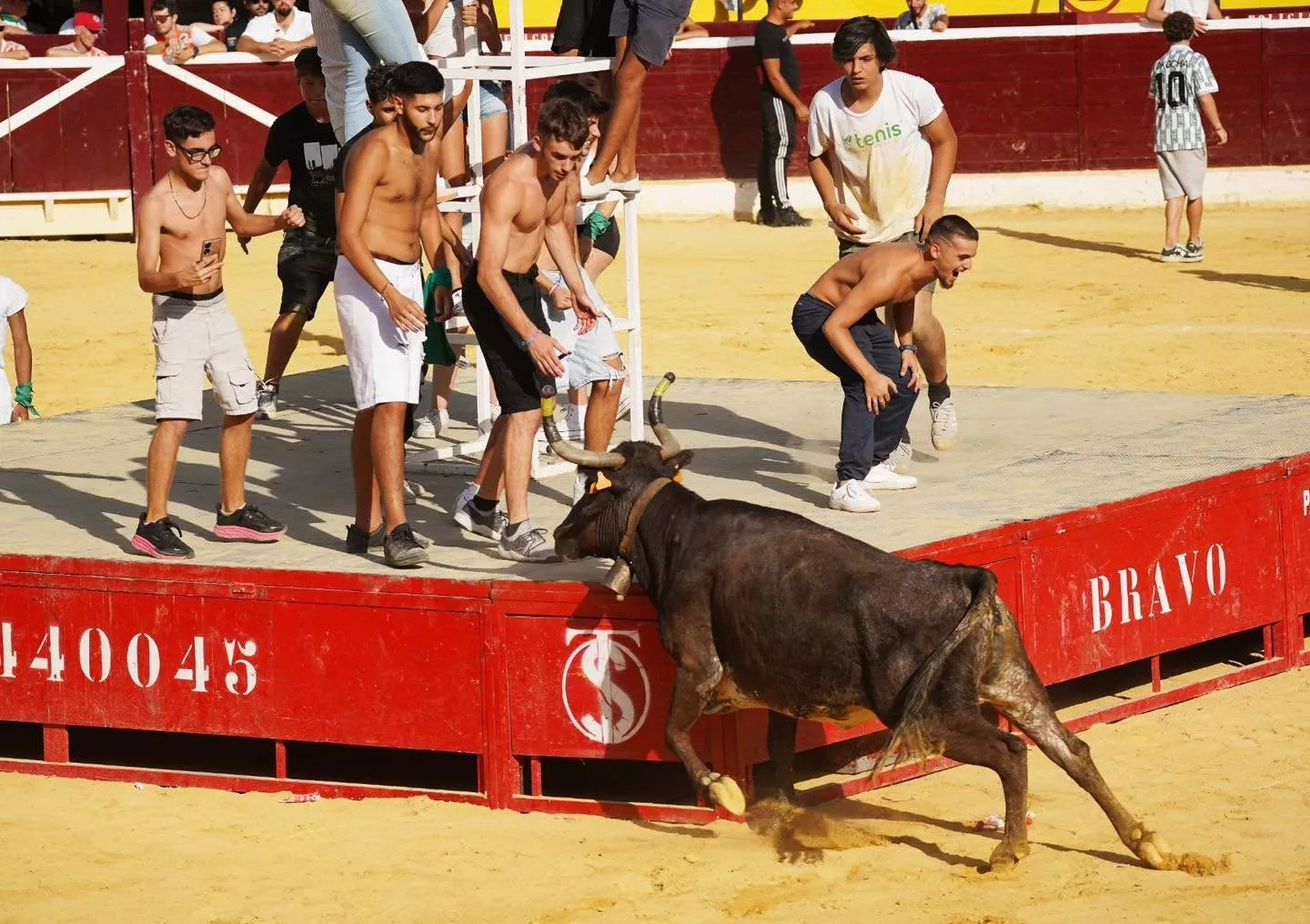Imágenes de la primera mañana vaquillera de Huesca 2026. Foto: Tauroemoción