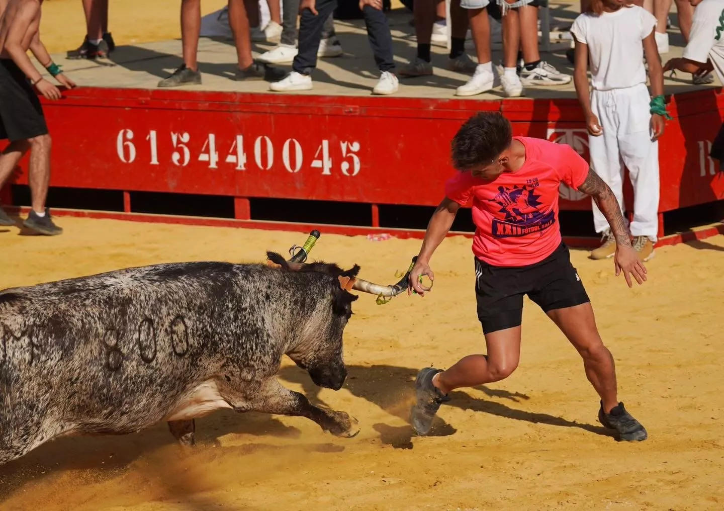 Imágenes de la primera mañana vaquillera de Huesca 2026. Foto: Tauroemoción
