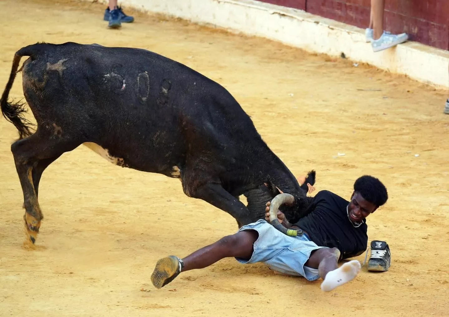Imágenes de la primera mañana vaquillera de Huesca 2026. Foto: Tauroemoción