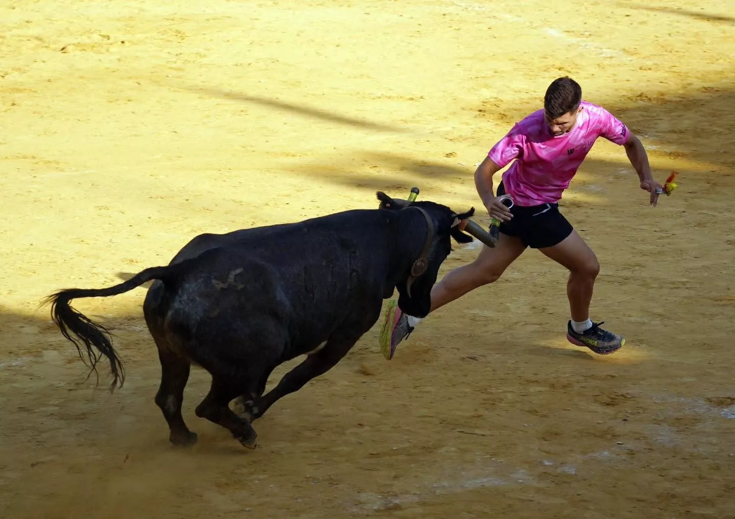 Imágenes de la primera mañana vaquillera de Huesca 2026. Foto: Tauroemoción