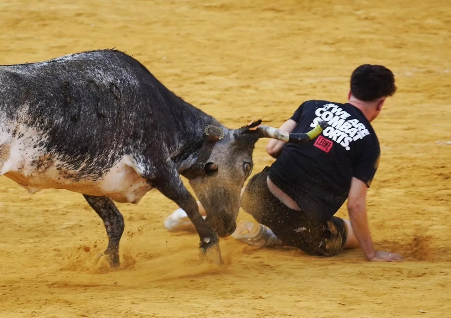 Imágenes de la primera mañana vaquillera de Huesca 2026. Foto: Tauroemoción
