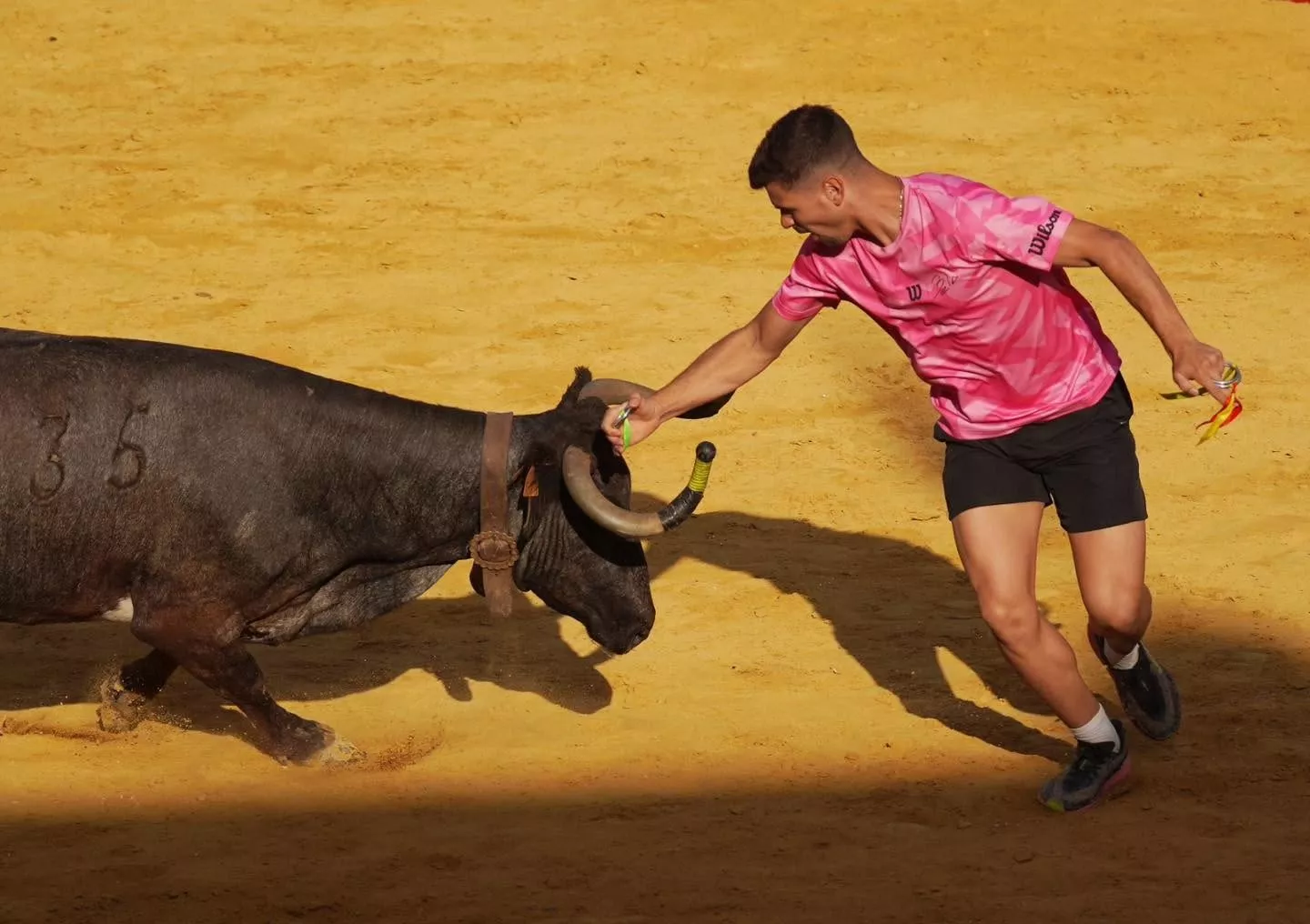 Imágenes de la primera mañana vaquillera de Huesca 2026. Foto: Tauroemoción