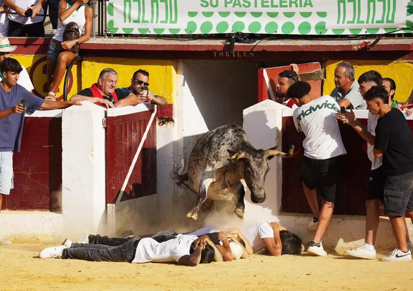 Imágenes de la primera mañana vaquillera de Huesca 2026. Foto: Tauroemoción