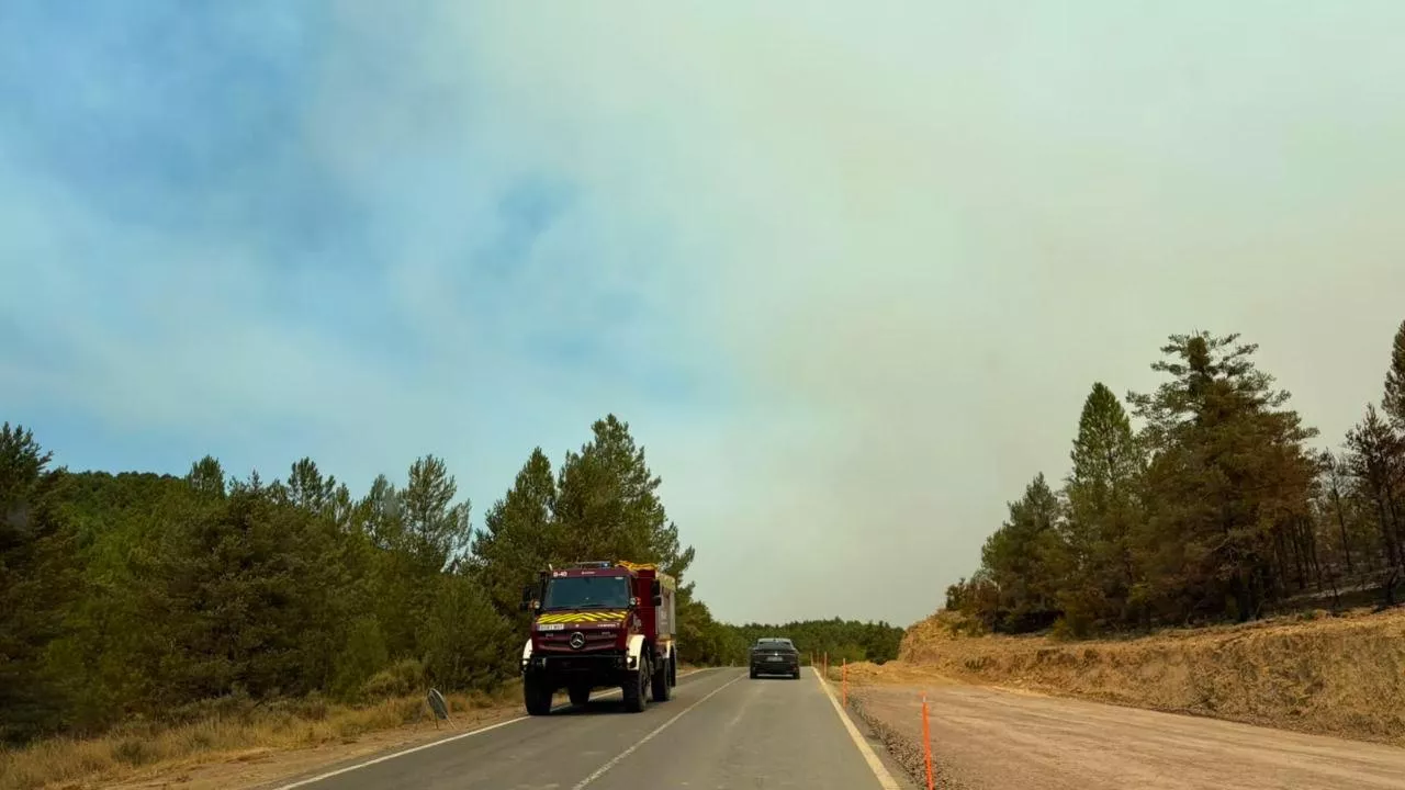 Trabajos contra el avance del fuego en la A-132.