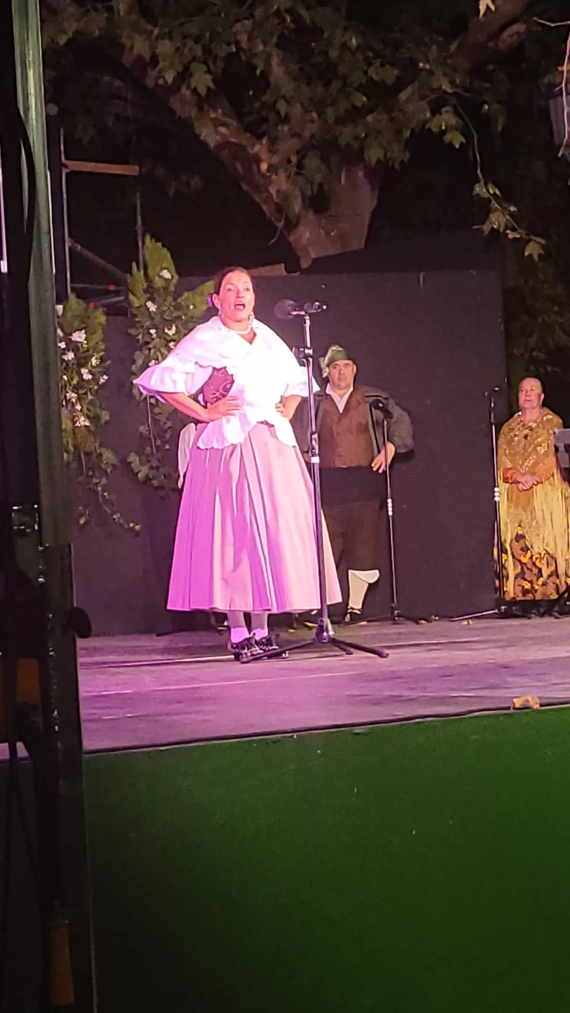 Elenco Aragonés en el Parque Miguel Servet por San Lorenzo
