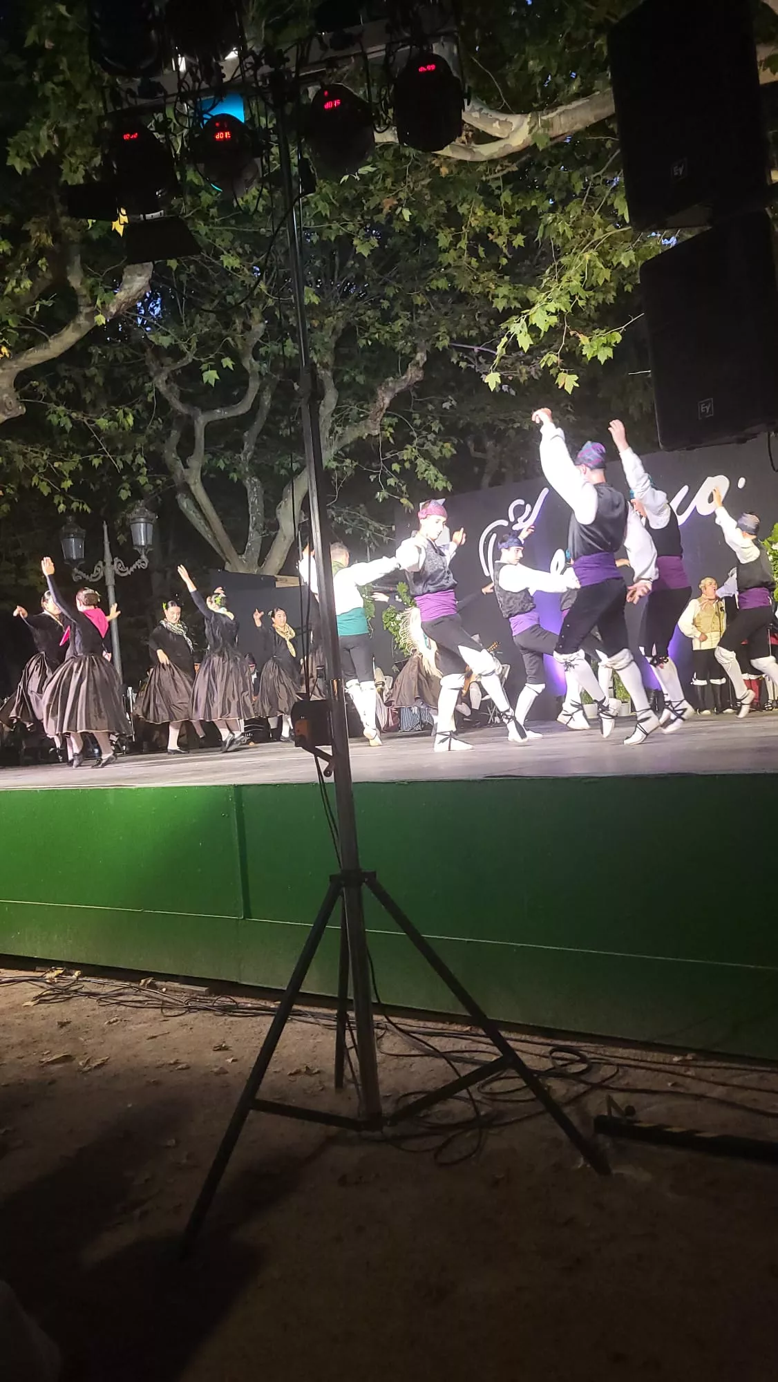 Elenco Aragonés en el Parque Miguel Servet por San Lorenzo