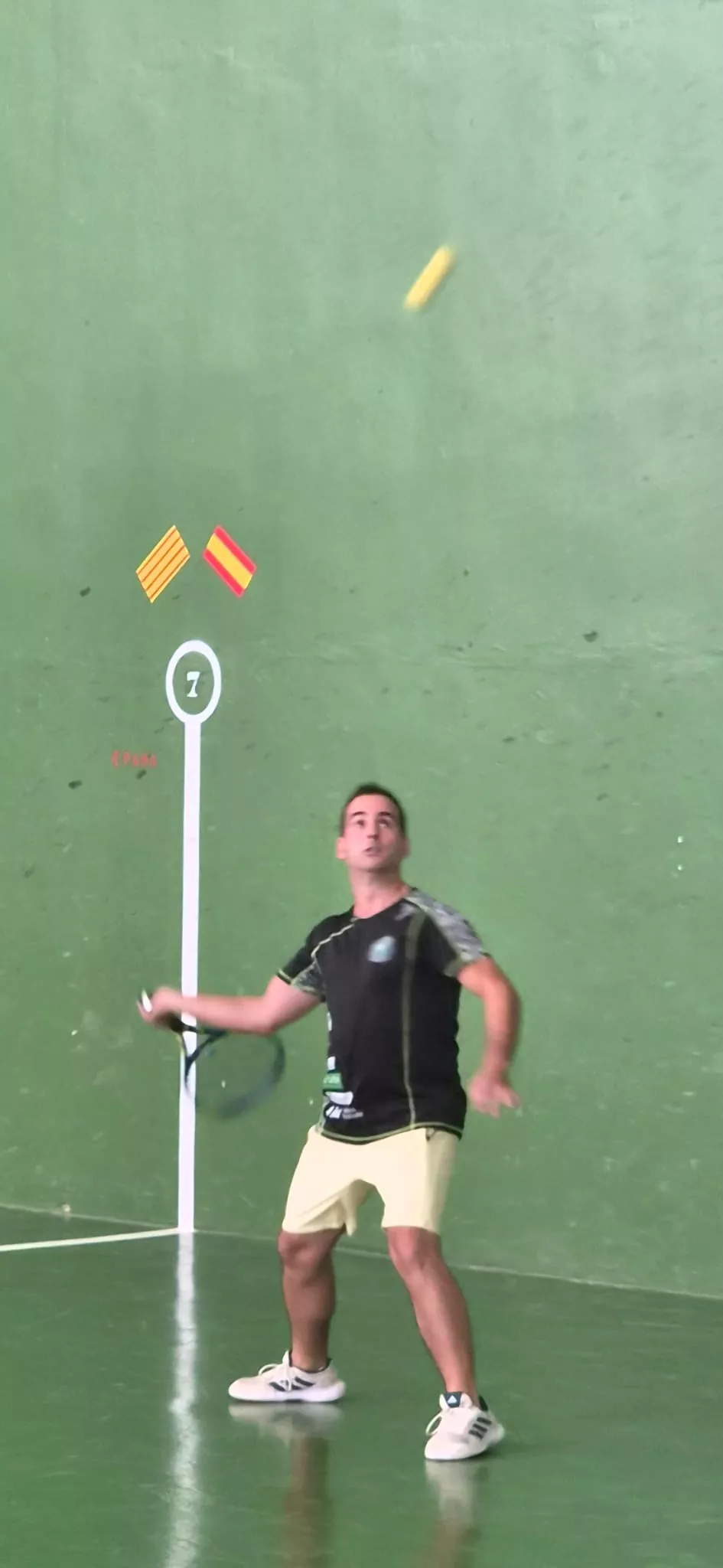 XXXVI Trofeo San Lorenzo de Frontenis