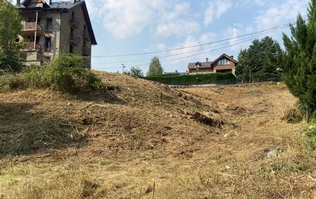 Desbroce para VPO en Sallent
