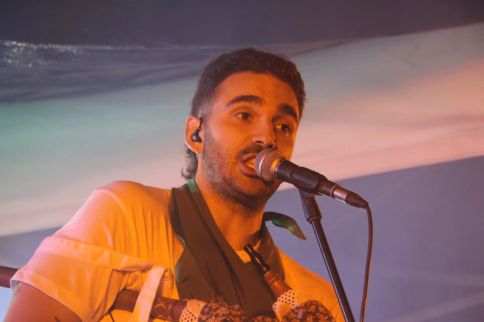 Radices. Foto Carlos Neofato