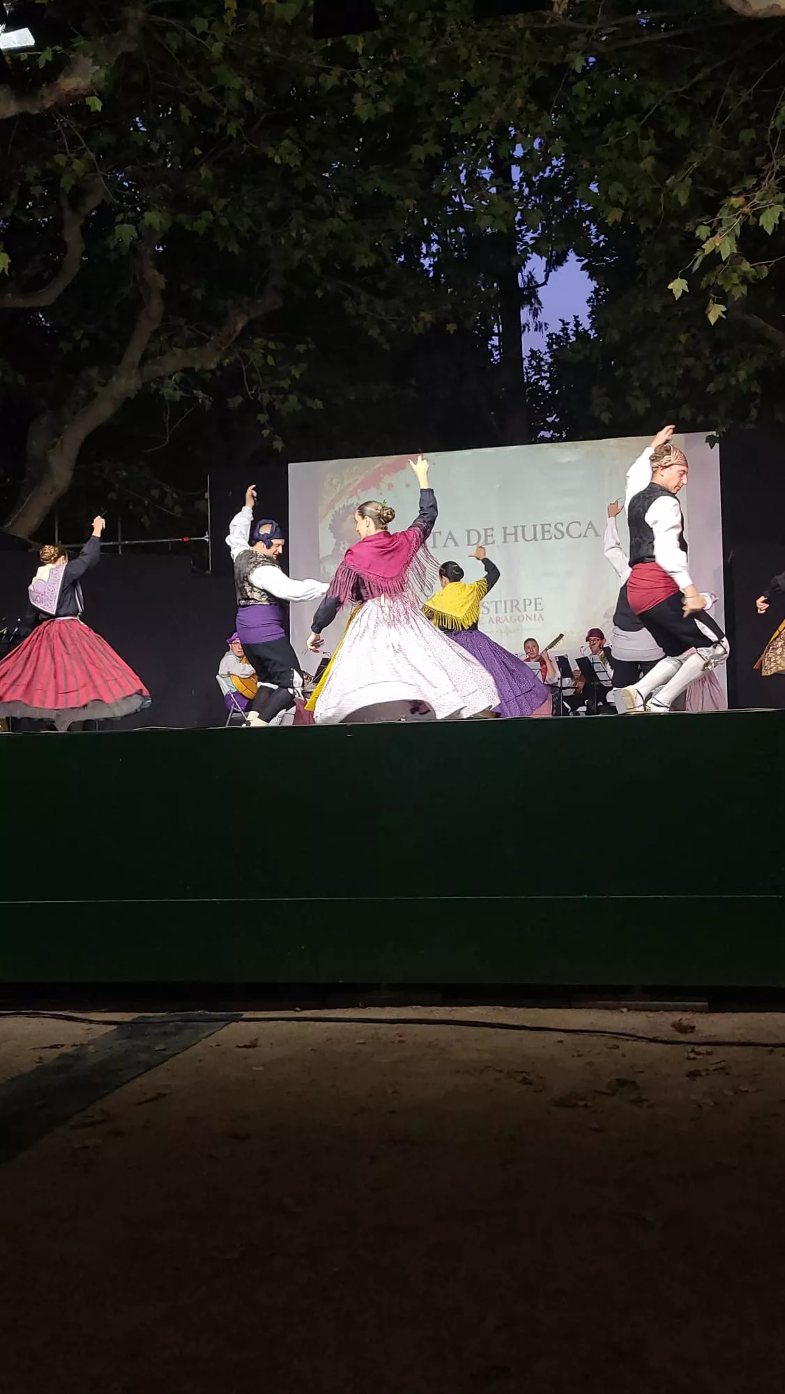  Estirpe de Aragonia en el Parque Miguel Servet