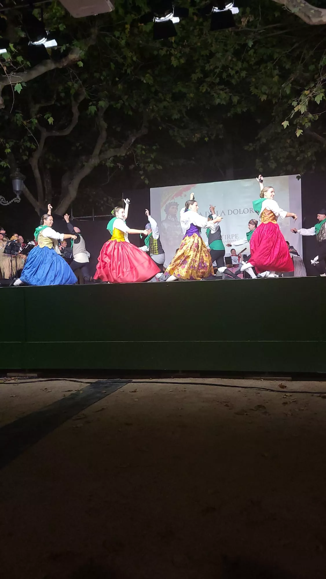  Estirpe de Aragonia en el Parque Miguel Servet