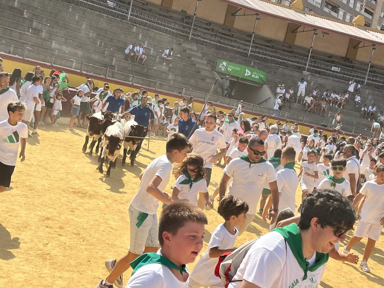Imágenes del encierro infantil con minibueyes en Huesca organizado por Tauroemoción. Foto: Adri Mora