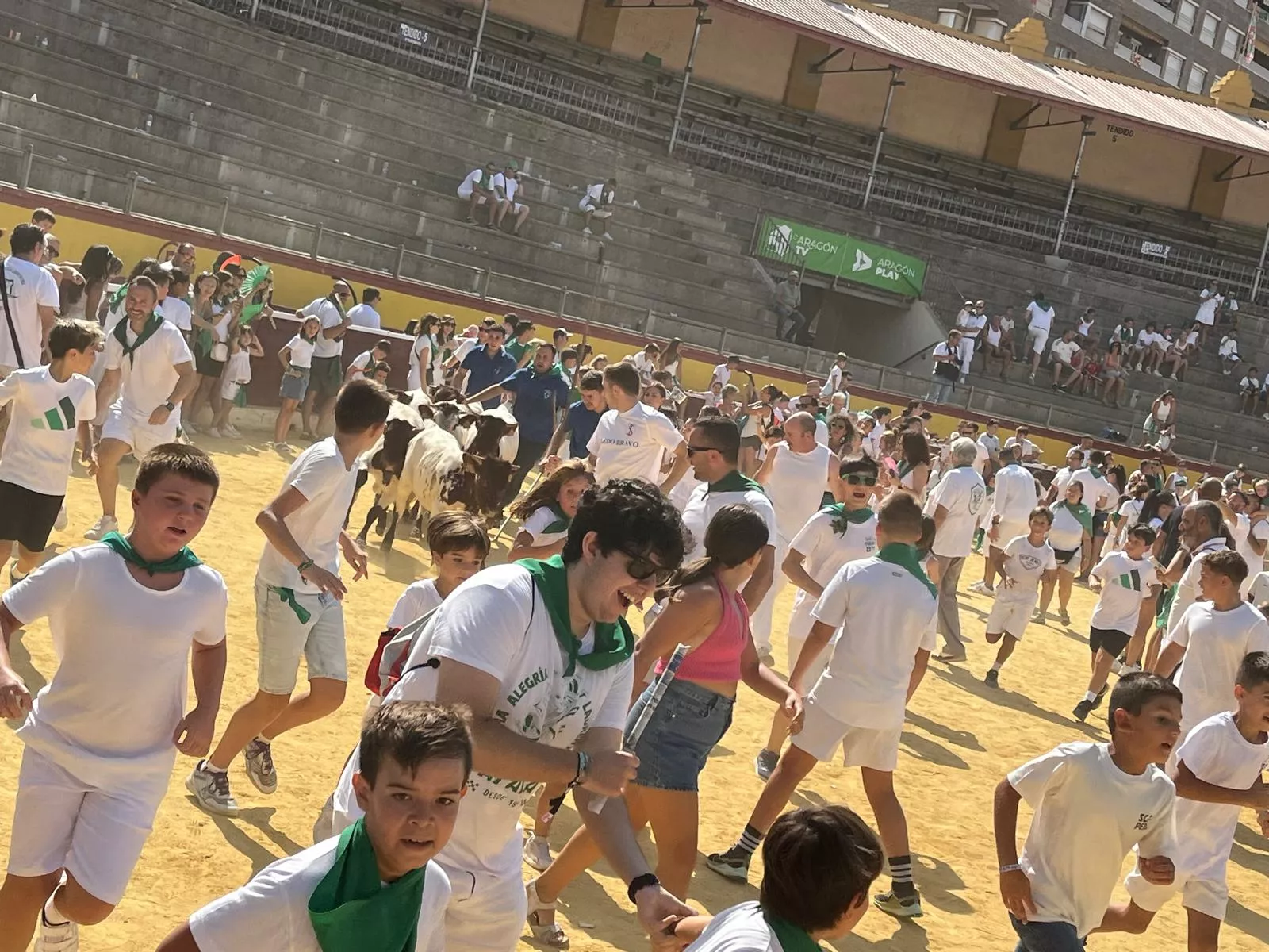 Imágenes del encierro infantil con minibueyes en Huesca organizado por Tauroemoción. Foto: Adri Mora