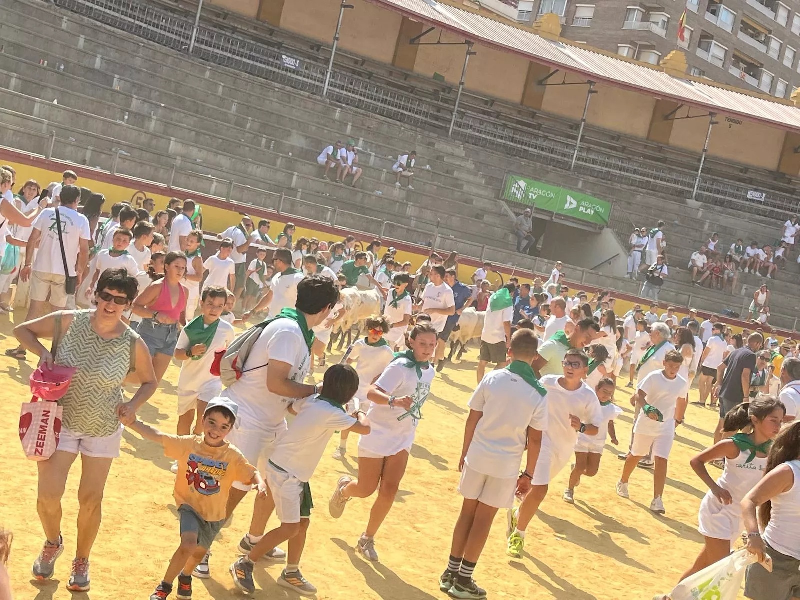 Imágenes del encierro infantil con minibueyes en Huesca organizado por Tauroemoción. Foto: Adri Mora