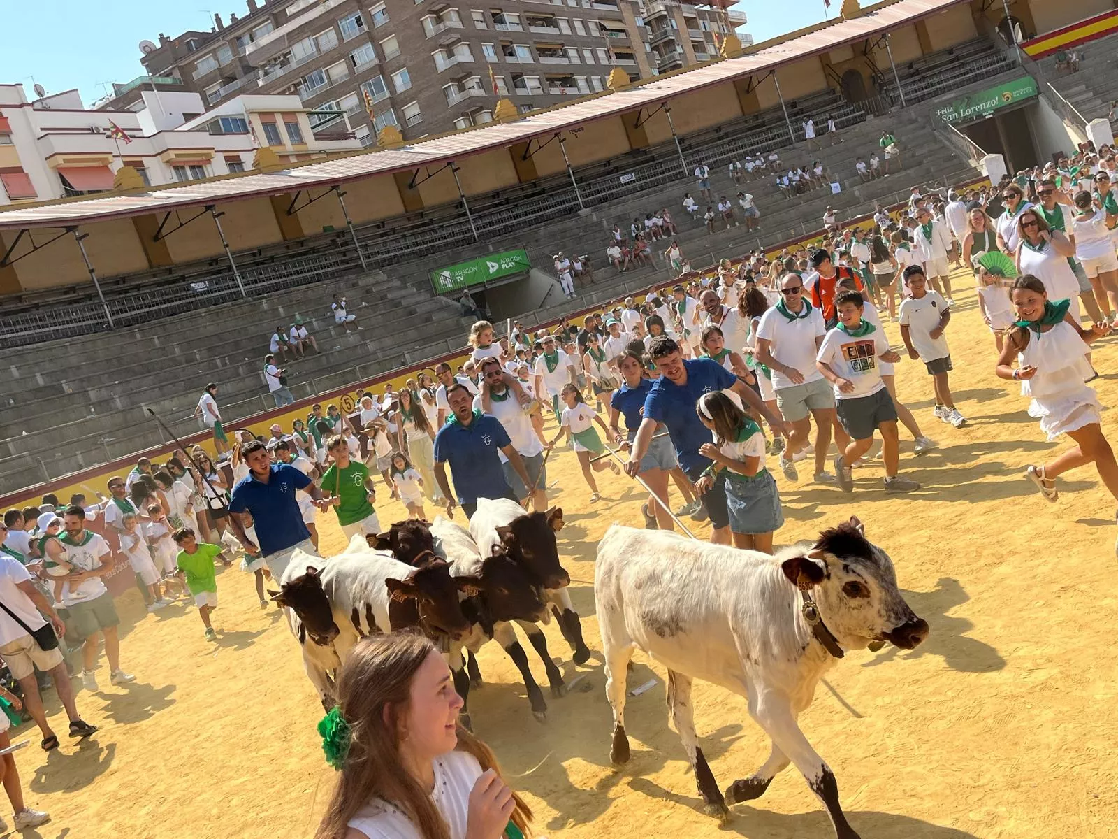 Imágenes del encierro infantil con minibueyes en Huesca organizado por Tauroemoción. Foto: Adri Mora