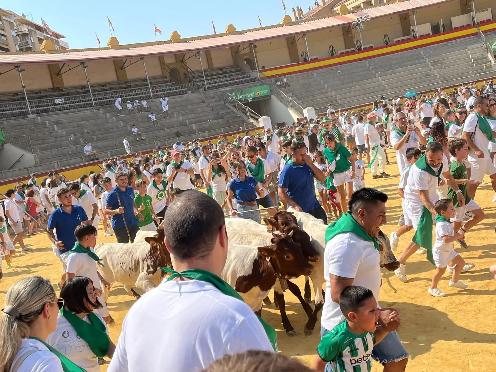 Imágenes del encierro infantil con minibueyes en Huesca organizado por Tauroemoción. Foto: Adri Mora