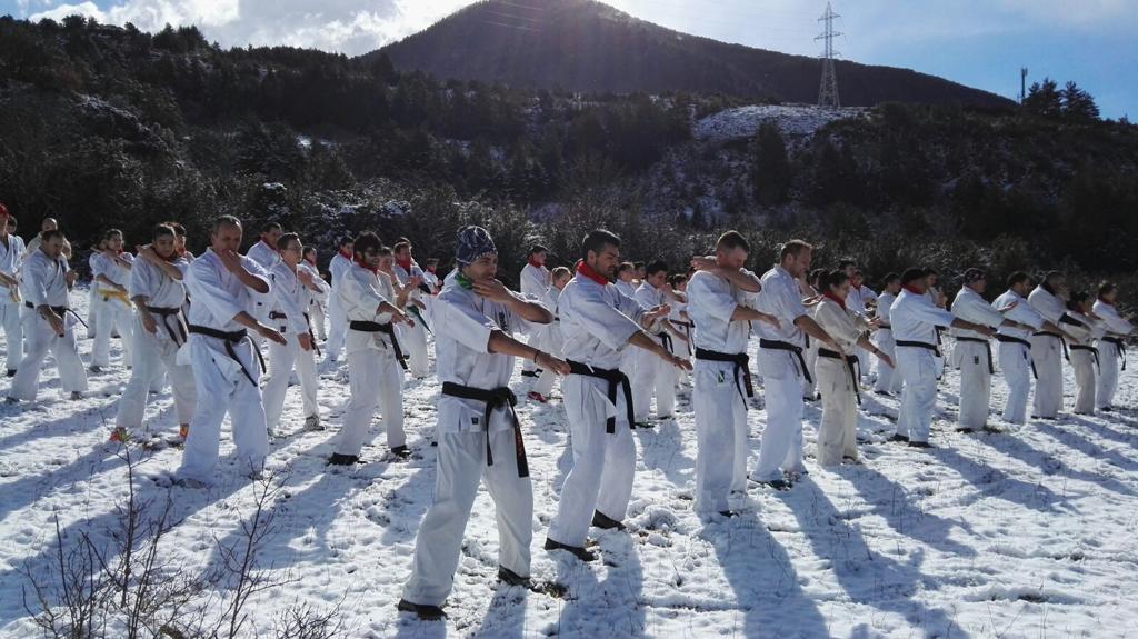 El curso de Kyokushin se celebra desde hace una década en Villanúa.