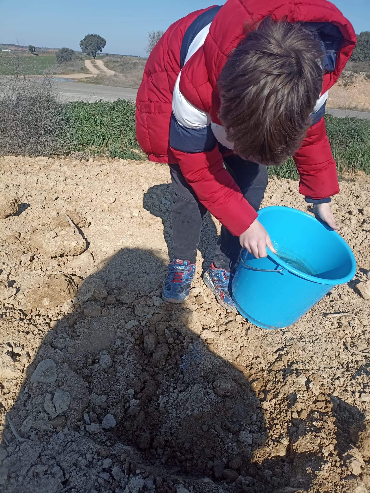 Replantación en Sesa
