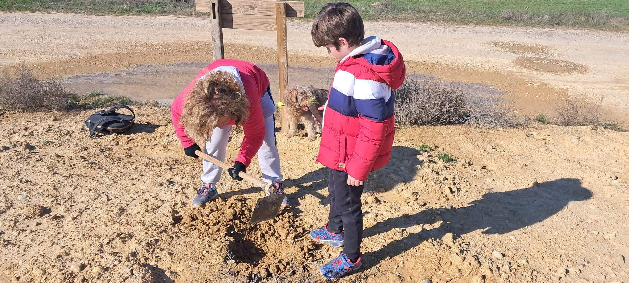 Replantación en Sesa