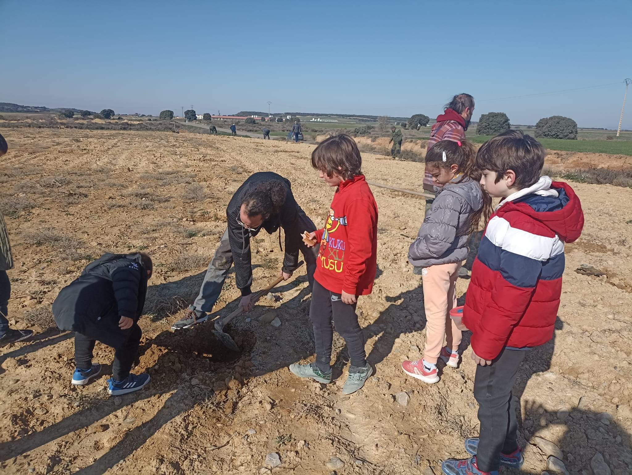 Replantación en Sesa