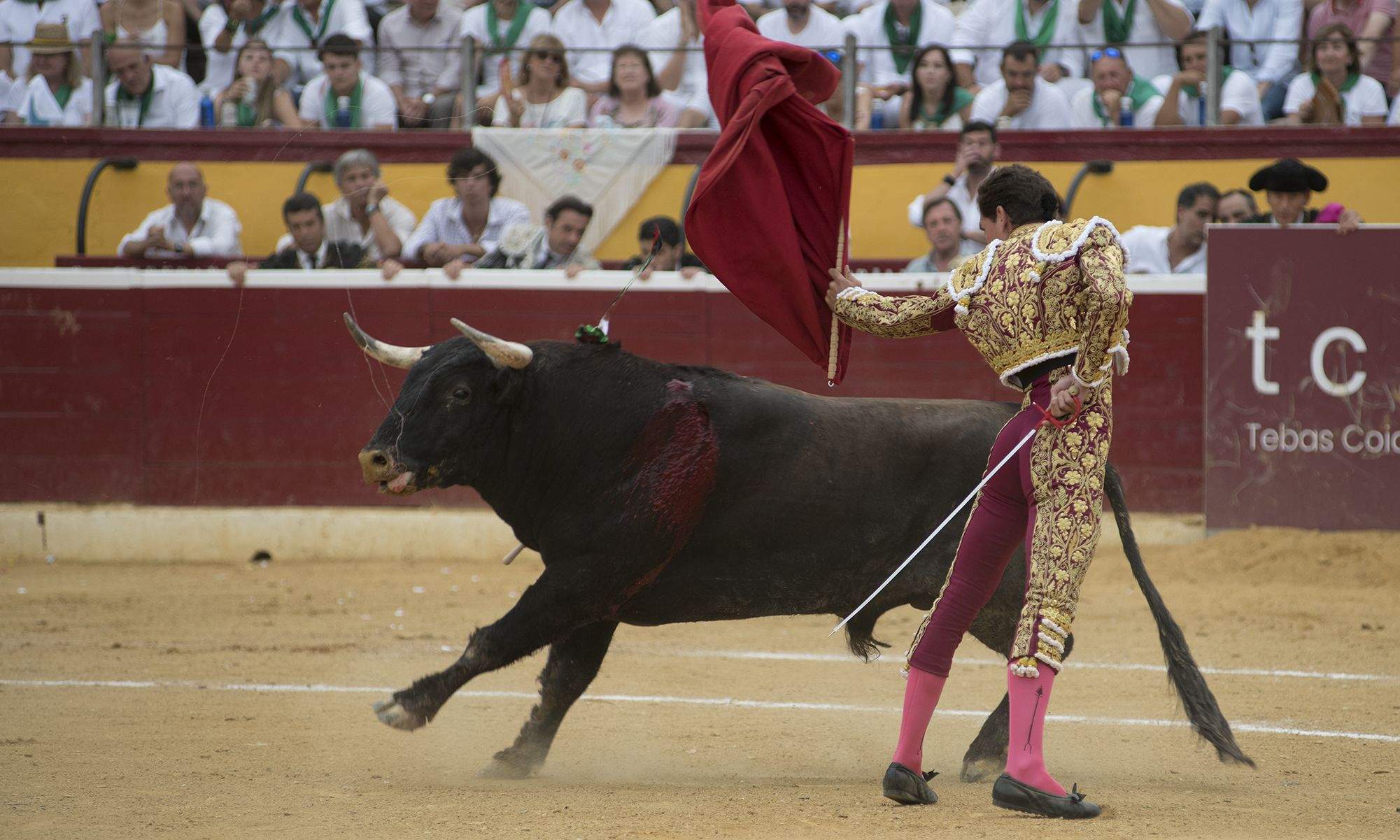 Ginés Marín. Foto Jacques Valat 