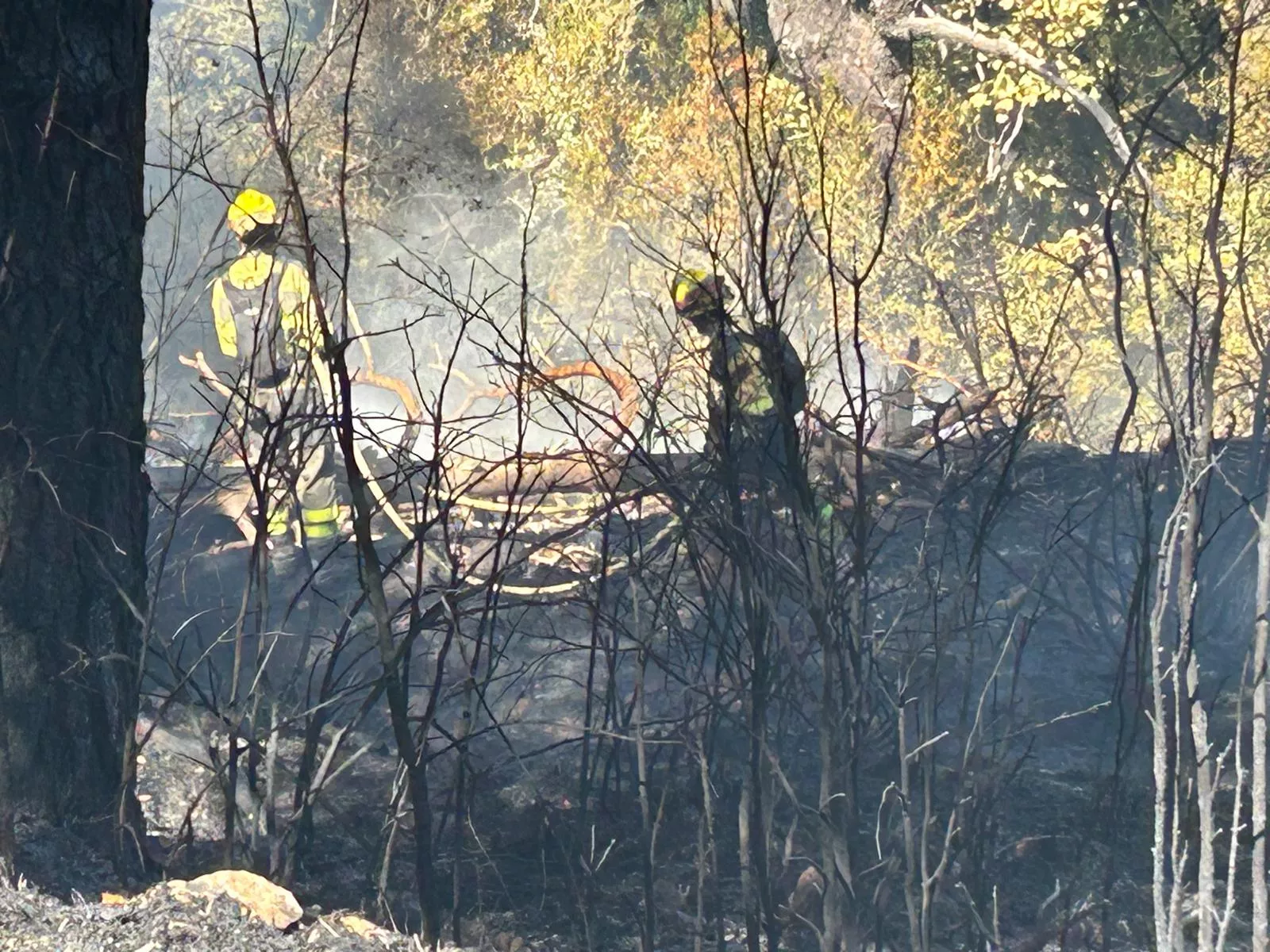 Bomberos intentan apagar el fuego en San Juan de la Peña