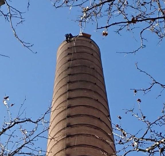 Jornada en Monzón para instalar una caja nido en la chimenea de la Azucarera